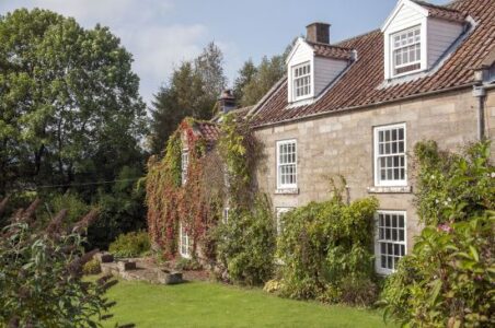 Diversification: Using a Sawmill Brings Profitability for Farmer Image